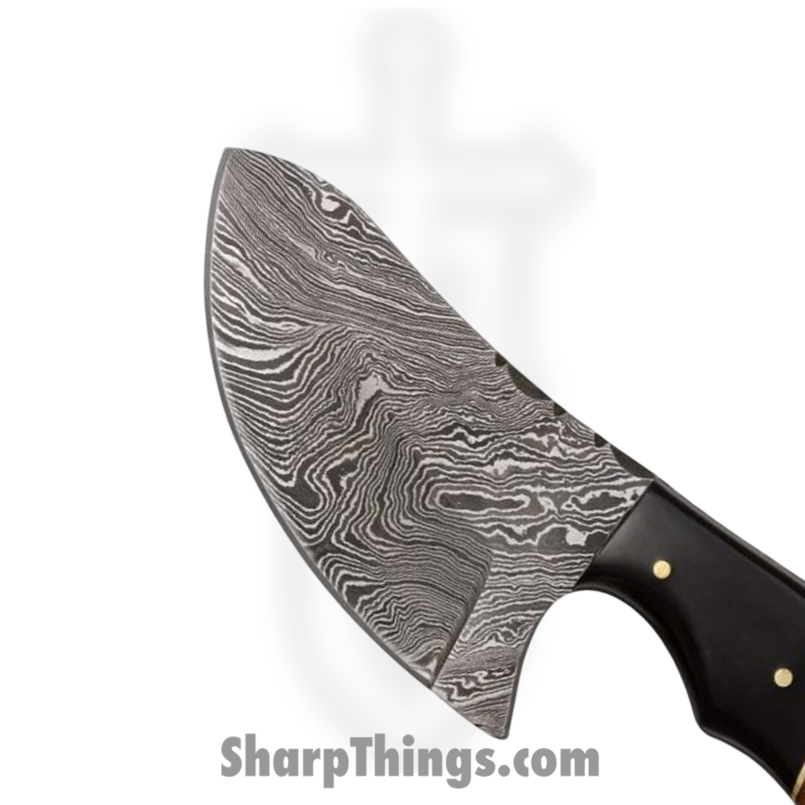 Damascus - DM1062 - Butcher - Fixed Blade Knife - Damascus Wharncliffe - Buffalo Horn - Brown Black - Image 2