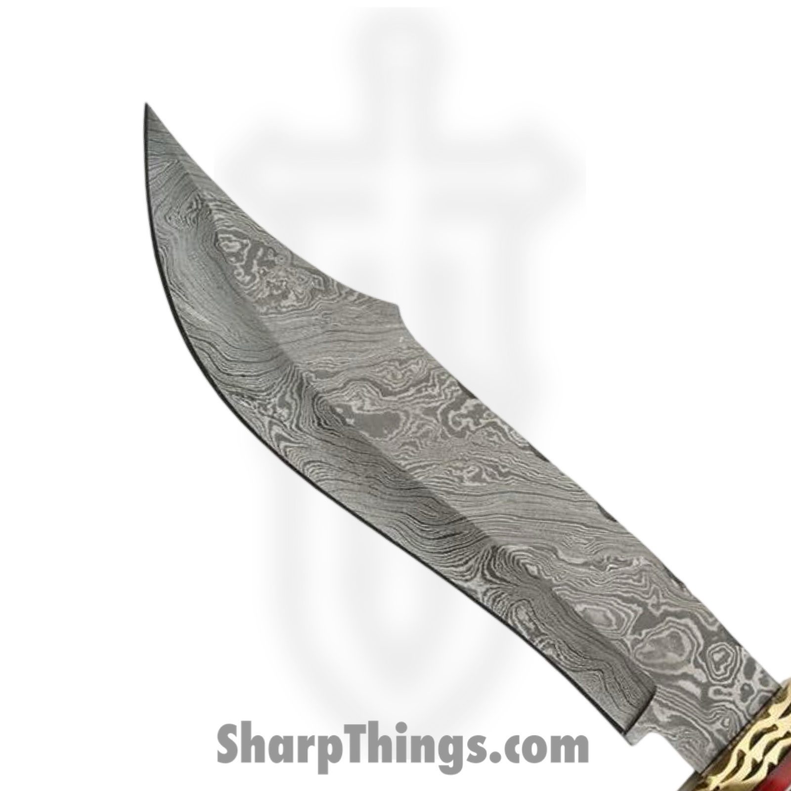 Damascus - DM1056 - Bowie - Fixed Blade Knife - Damascus Bowie - Laminated Wood - Black Red - Image 2