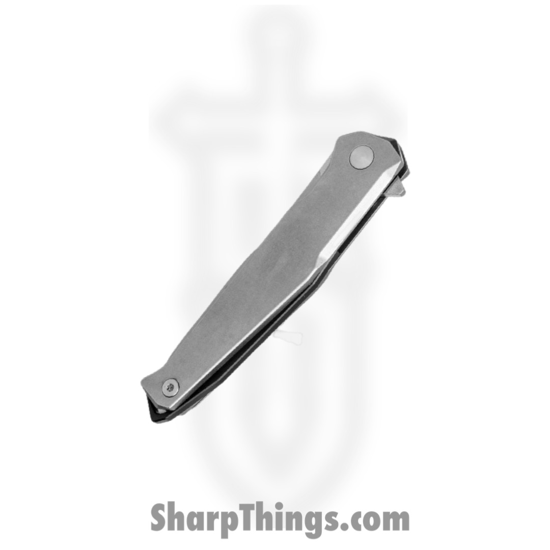 Ruike - RKEP108SF - P108 - Folding Knife - 14C28N Sandvik Satin Spear Point - Stainless Steel - Gray - Image 2