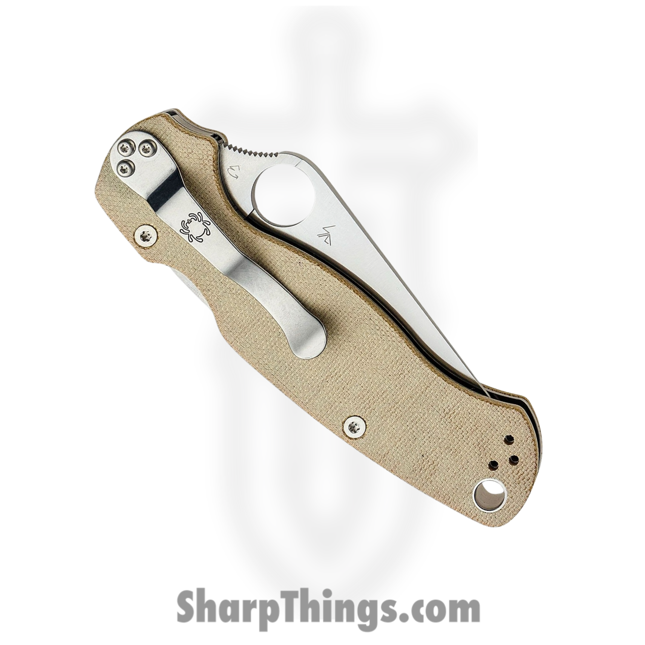 Spyderco - SC81MPCW2 - Para Military 2 - Folding Knife - CPM-CruWear Tool Steel Satin Clip Point - Canvas Micarta - Brown - Image 3