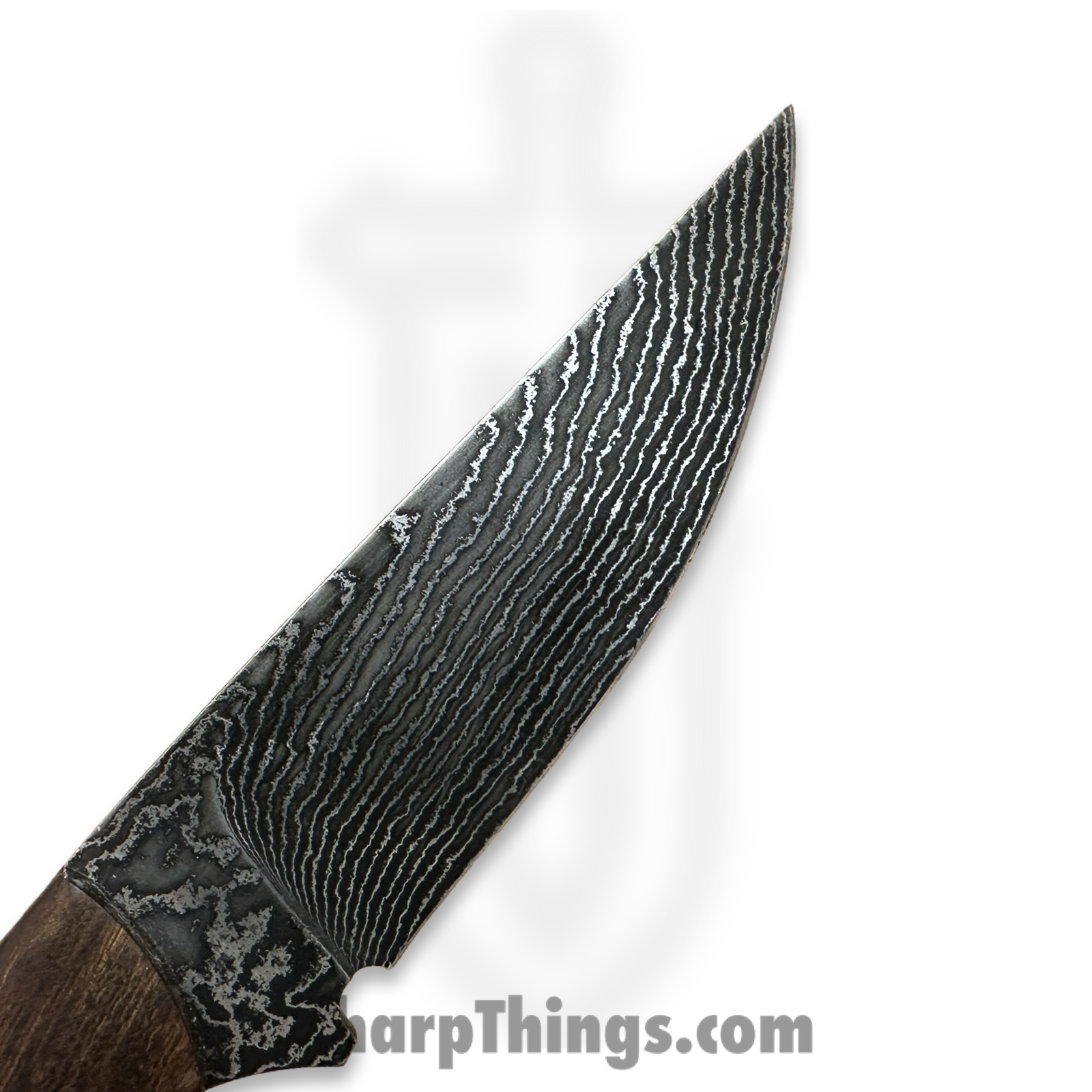 Cave Blades - CB-Trail-DP-IW - Trail Blazer - Fixed Blade Knife - Damascus Drop Point - Ironwood - Brown - Image 8