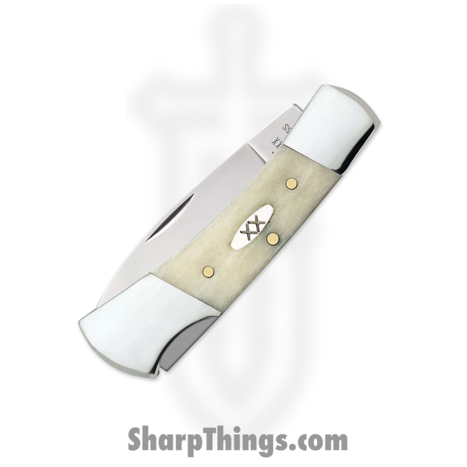 Case Cutlery - CA13314 - Lockback - Folding Knife - Stainless Polished Drop Point - Smooth Natural Bone - White Silver - Image 3