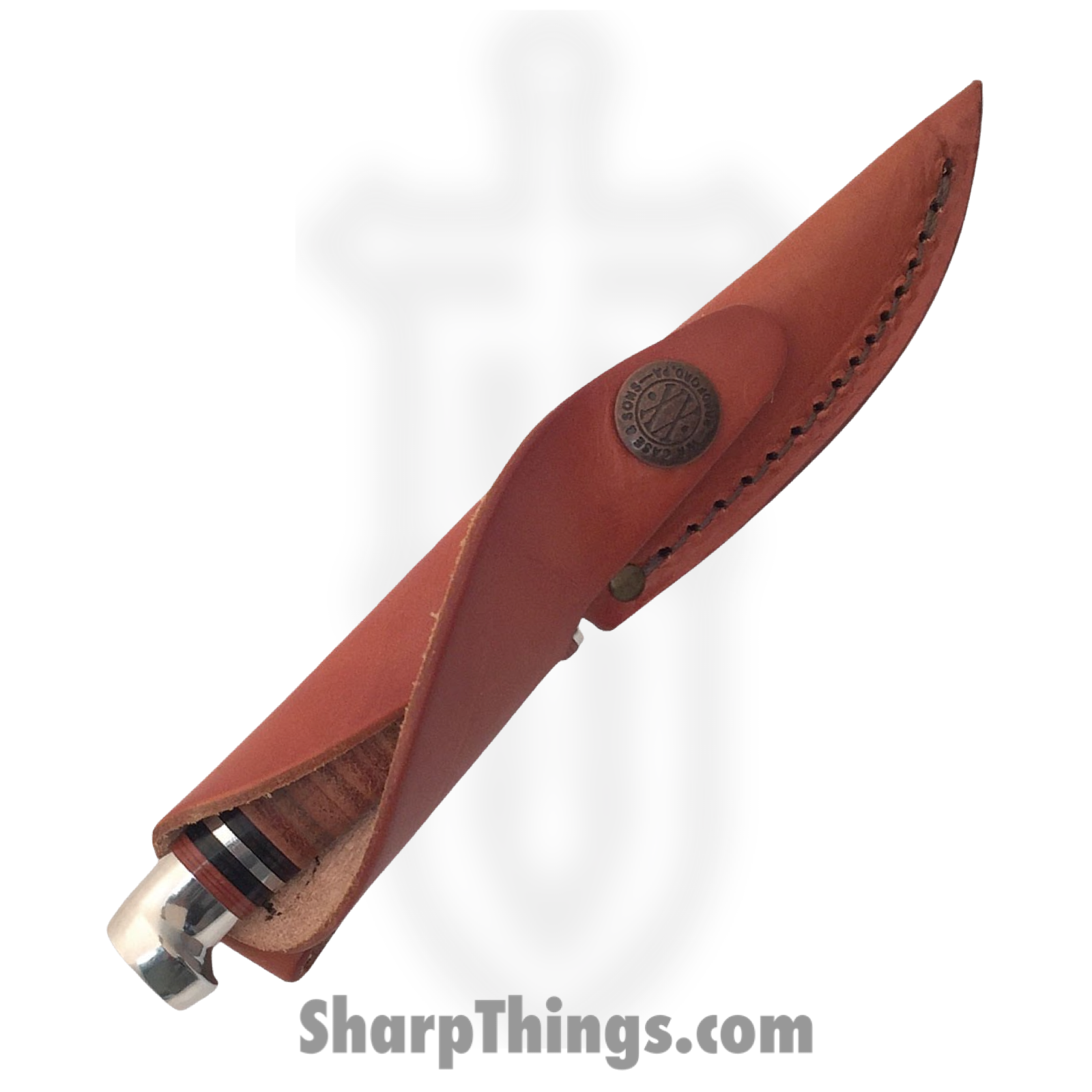 Case Cutlery - CA379 - M3 Finn Small Hunting - Fixed Blade Knife - Stainless Polished Clip Point - Leather - Brown White - Image 2