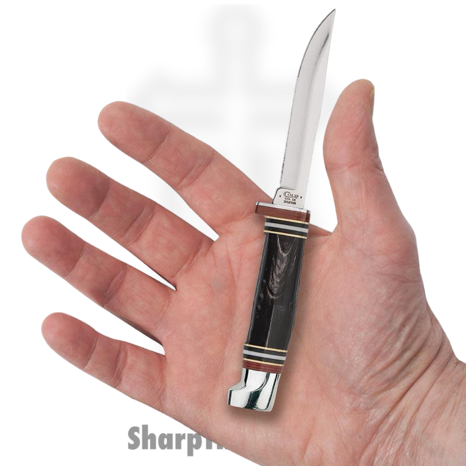 Case Cutlery - CA17916 - Buffalo Horn Mini Finn Hunter - Fixed Blade Knife - Tru-Sharp Stainless Steel - Jigged Buffalo Horn Handle - Image 4
