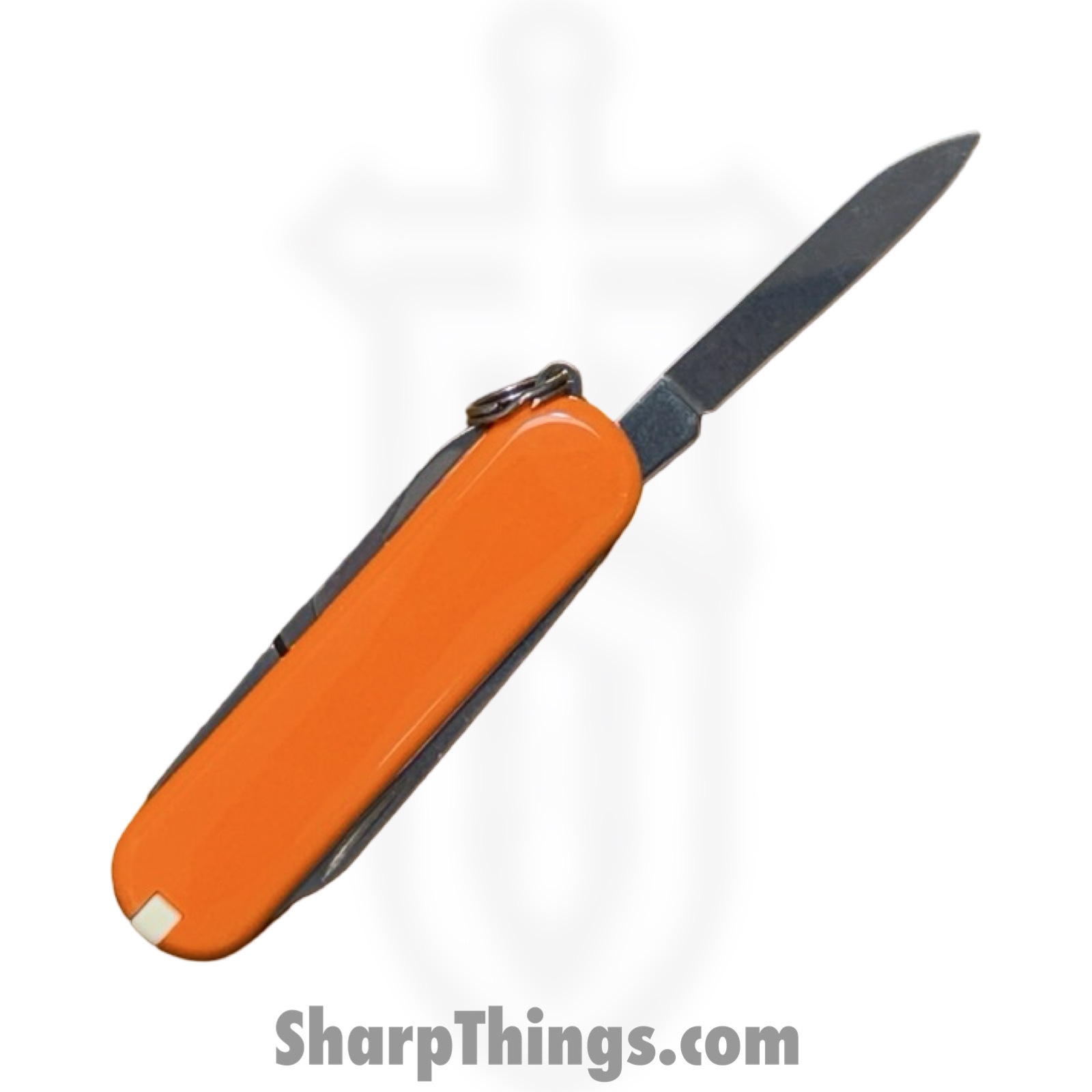 Victorinox - VN0622383 - Classic SD - Folding Knife - Stainless Polished Drop Pont - ABS - Mango Tango - Image 2