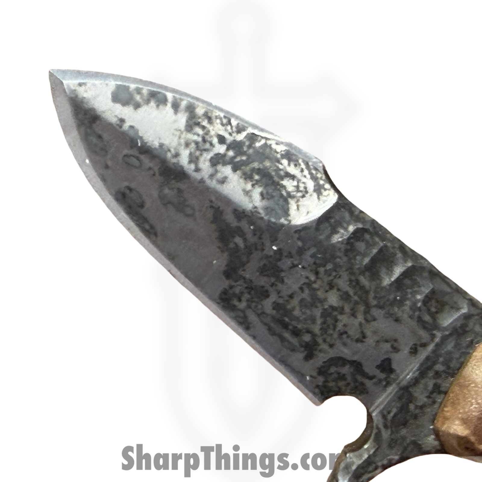 Lex Rex - LRBSA001 - EDC Kestrel - Fixed Blade Knife - 80CRV2 Patina DE Spear Point - Burl Wood, Truestone, Micarta - Black, Blue, Brown - Image 4
